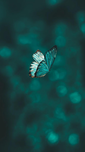 a blue-green butterfly flapping its wings