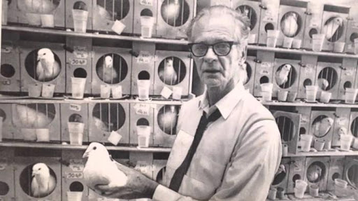 a screencap from a YouTube video of a stylized photo of B. F. Skinner holding a pigeon and standing in front of many pigeon kennels